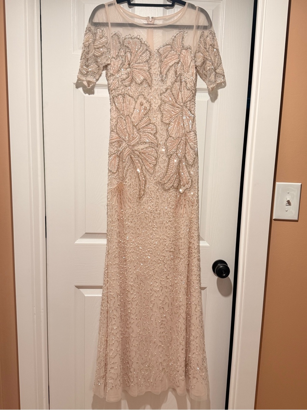 Adrianna Papell Embellished Beaded Evening Gown in Blush